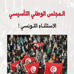 المجلس الوطني التأسيسي - الإستثناء التونسي